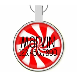 Peppermint Silver Pet ID Tags