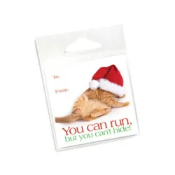 Orange Cat Holiday Gift Tags