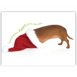 Dachshund Santa Hat Holiday Card Set