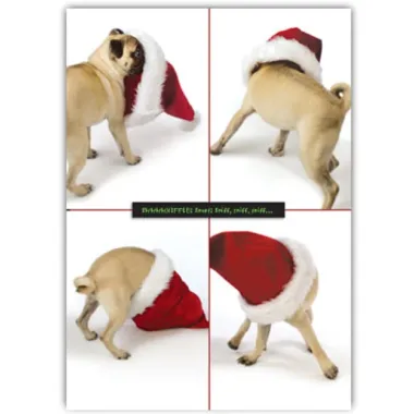 Pugs Holiday Card Set