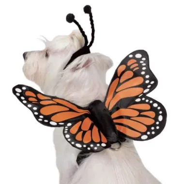 Butterfly Glow Wings Harness Costume