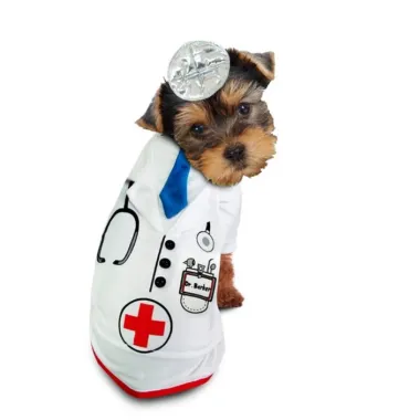 Doctor Barker Dog Costume