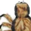 Fuzzy Tarantula Costume