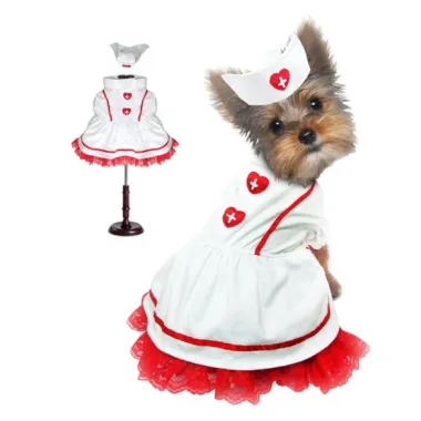 Sweetheart Nurse Dog Costume