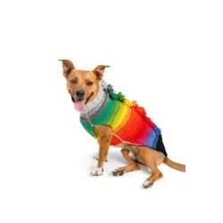 Rainbow Mohawk Dog Sweater