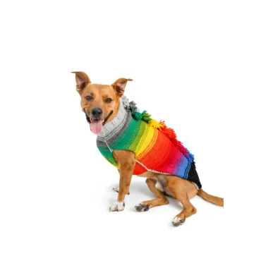 Rainbow Mohawk Dog Sweater