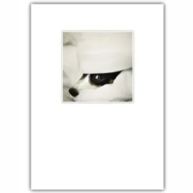 Jack Russell Visit Soon Card