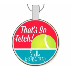 That's So Fetch Silver Pet ID Tags