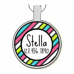 Rainbow Stripes Silver Pet ID Tags