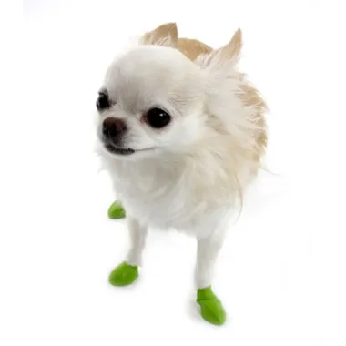 Pawz Natural Rubber Dog Boots