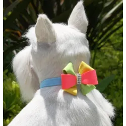 Susan Lanci Angela Pinwheel Bow Collar