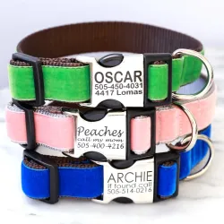 Engraved Buckle Velvet Personalized Dog Collars