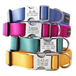 Engraved Buckle Nylon Webbing Personalized Dog Collars