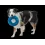 Sailz Dog Frisbee Toy