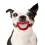 Paci-Chew Smile Dog Chew Toy