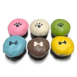 Organic Cupcakes 6-Pack