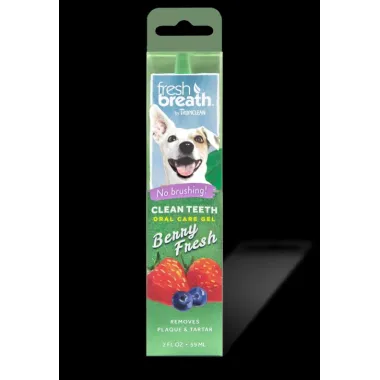 Fresh Breath Clean Teeth Oral Care Gel Berry Fresh