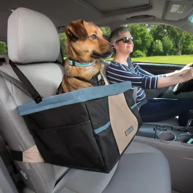 Rover Booster Car Seat