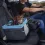 Rover Booster Car Seat