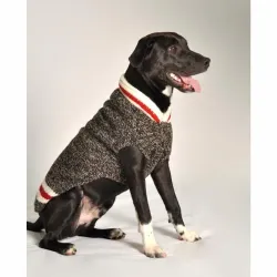 Boyfriend Dog Sweater