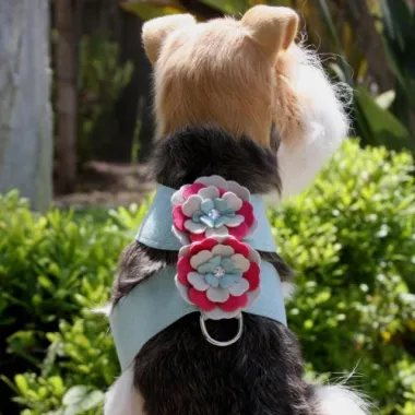 Susan Lanci Blossom Flowers Tinkie Harness