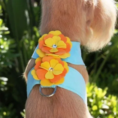 Susan Lanci Darla Flowers Tinkie Harness