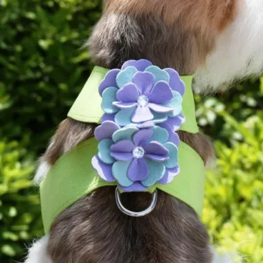 Susan Lanci Emma Flowers Tinkie Harness