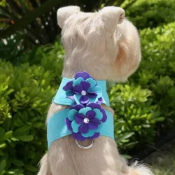 Susan Lanci Violet Flowers Tinkie Harness