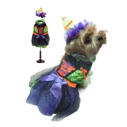 Neon Witch Dog Costume