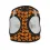 American River Choke Free Dog Harness Halloween Collection