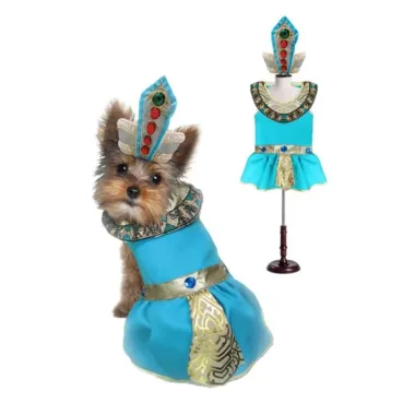 Cleopatra Costume