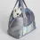 Louisdog Metallic Silver Around Bag