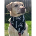 Pet Fan Gear