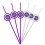 Sacramento Kings Team Sipper Straws CO