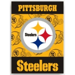 Pittsburgh Steelers Banner 28x40 House Flag Style 2 Sided CO