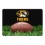 Missouri Tigers Classic Football Pet Bowl Mat - L  CO