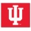 Indiana Hoosiers Area Rug - Tailgater - Special Order