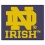 Notre Dame Fighting Irish Area Rug - Tailgater, "Irish" Design - Special Order