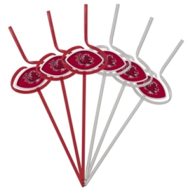 South Carolina Gamecocks Team Sipper Straws CO