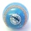 Florida Marlins Baseball High Gloss