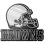 Cleveland Browns Auto Emblem - Silver