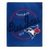 Toronto Blue Jays Blanket 50x60 Raschel Moonshot Design - Special Order