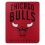 Chicago Bulls Blanket 50x60 Fleece Layup Design