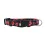 Auburn Tigers Pet Collar Size L