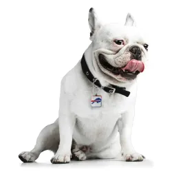 Buffalo Bills Pet Collar Charm