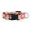 Clemson Tigers Pet Collar Size S