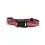 Indiana Hoosiers Pet Collar Size S - Special Order