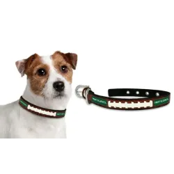 Miami Hurricanes Dog Collar - Small