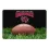 South Carolina Gamecocks Classic Football Pet Bowl Mat - L