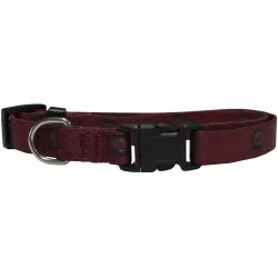 South Carolina Gamecocks Pet Collar Size S - Special Order